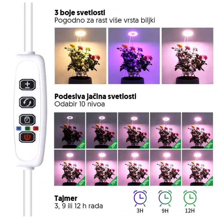 lb-rgs-01-rby-svetlo