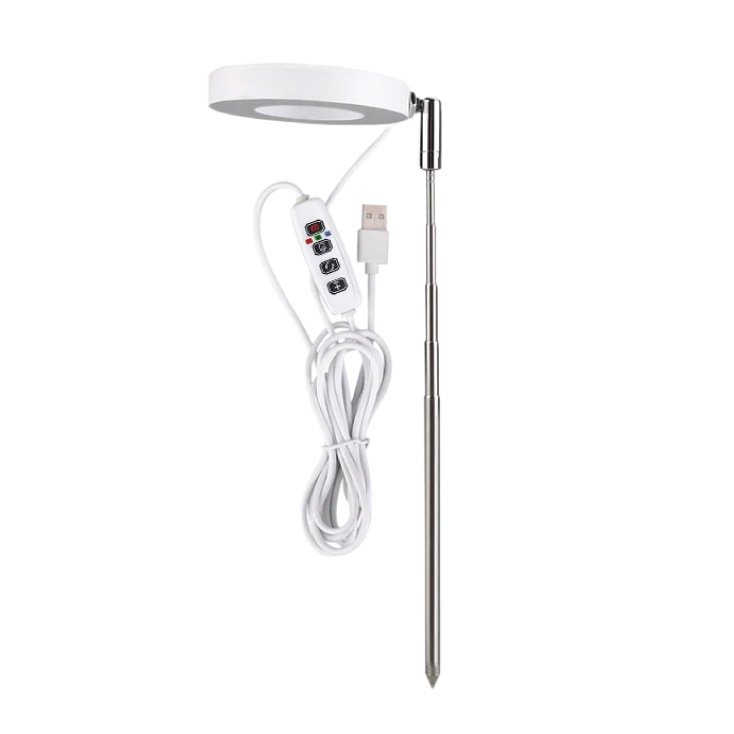 lb-rgs-01-rby