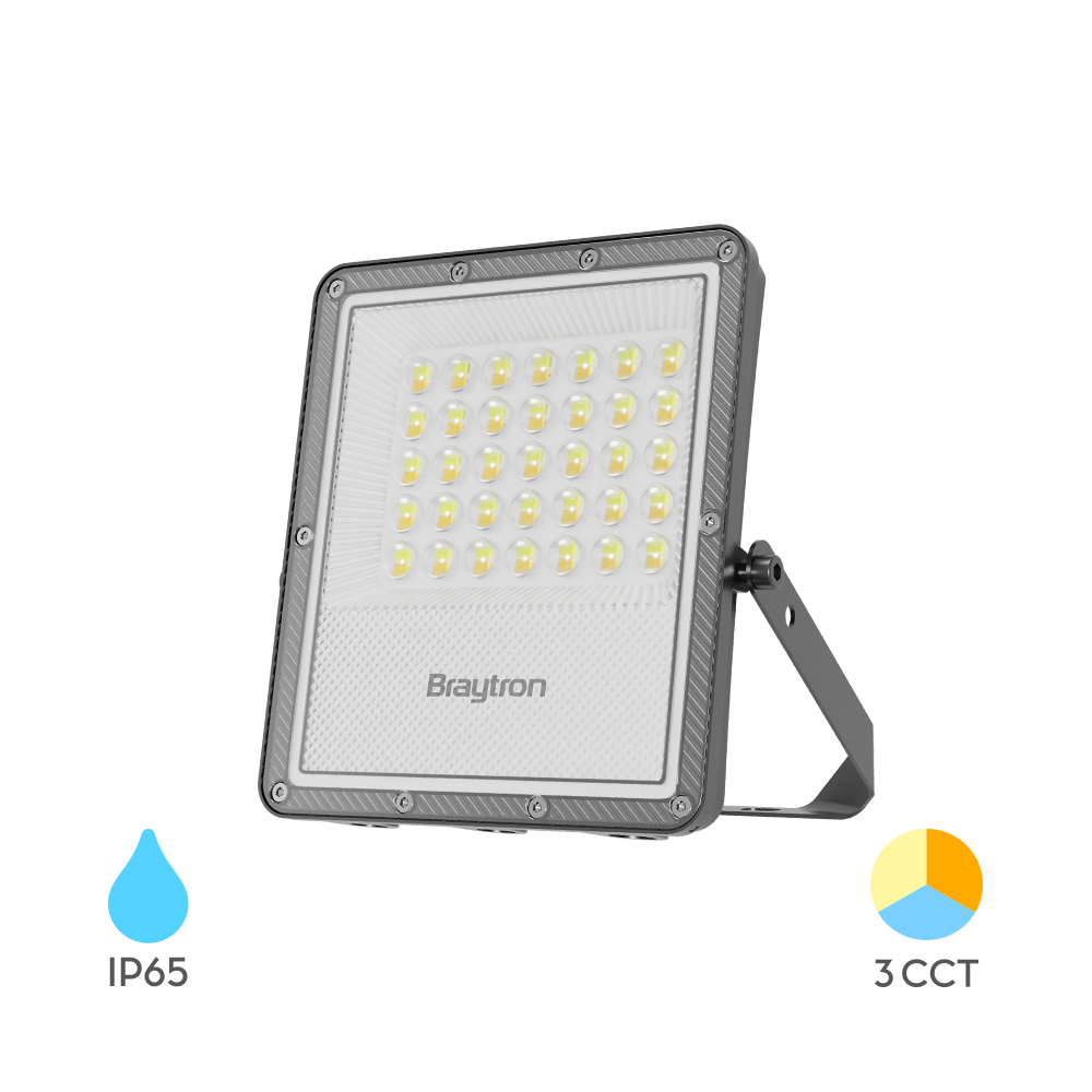 BT65-03082-1 LED reflektor 30W 3u1 Birajte sami boju svetla