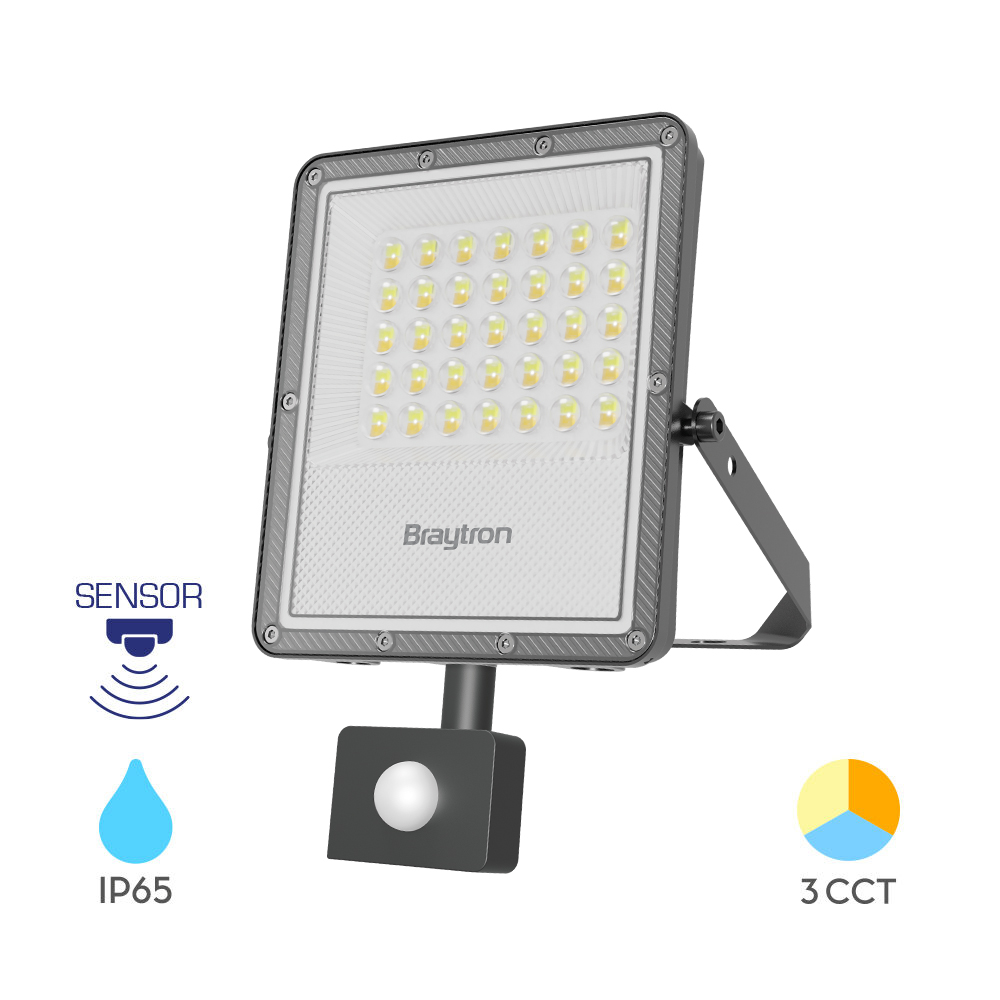 BT65-23082-1 LED reflektor sa senzorom 30W 3u1 Birajte sami boju svetla