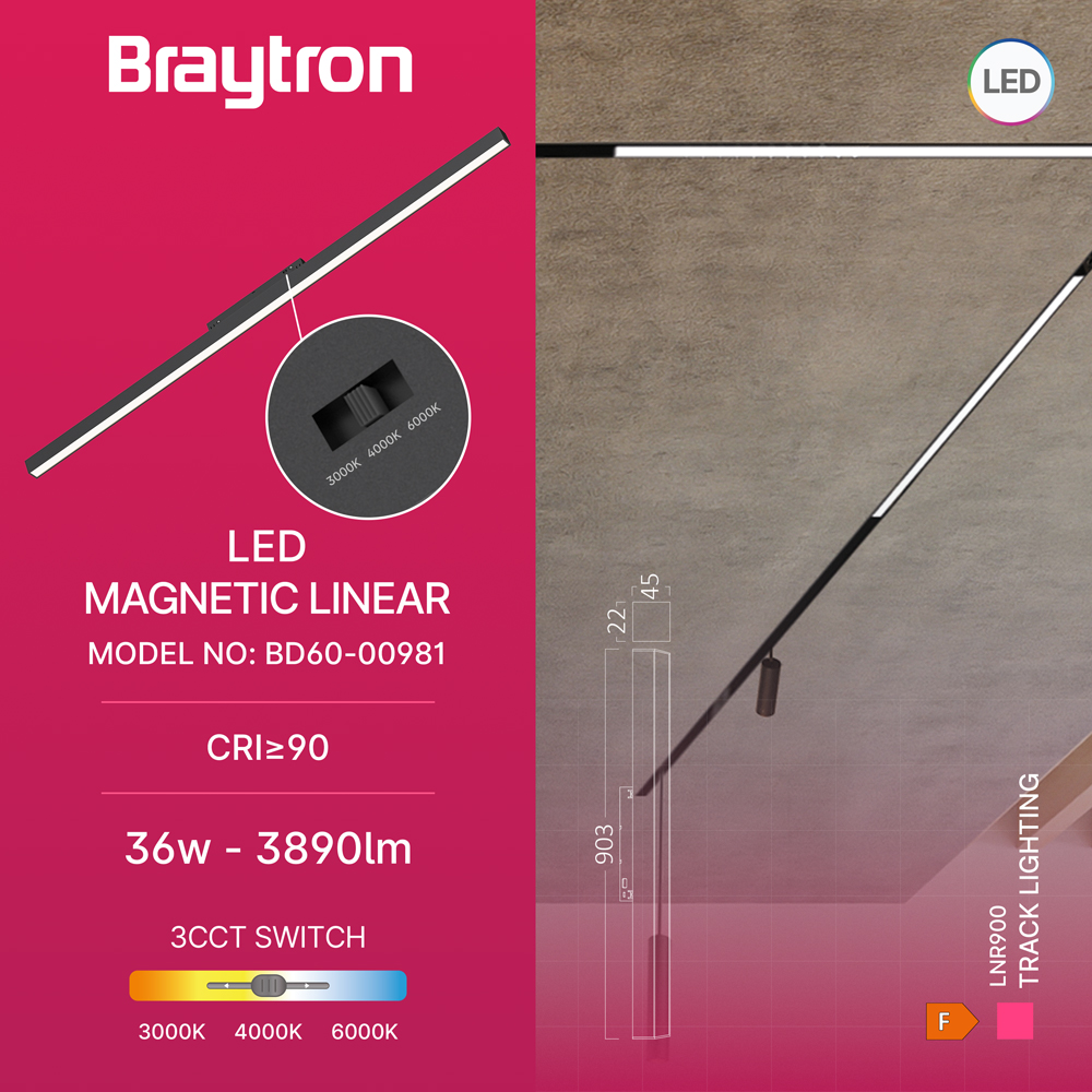 BD60-00981_3
