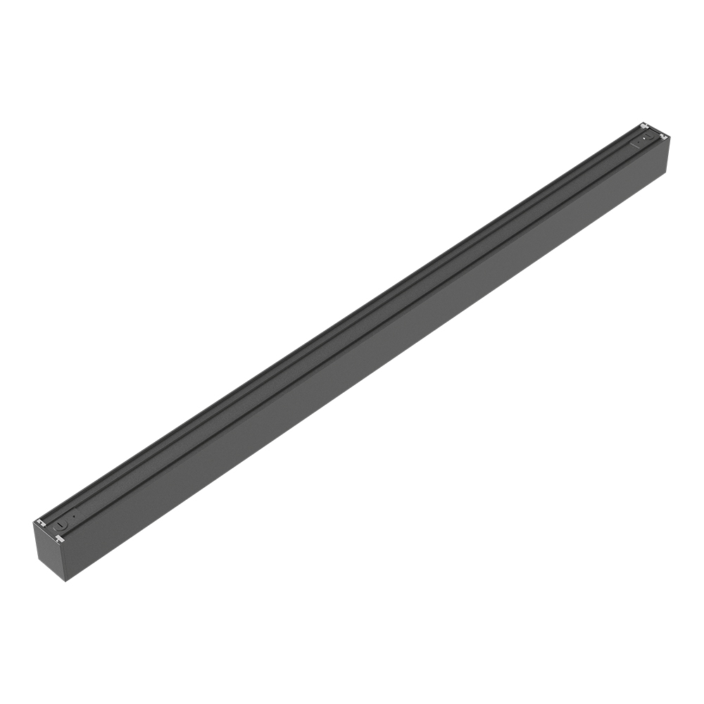 BN01-00481_5